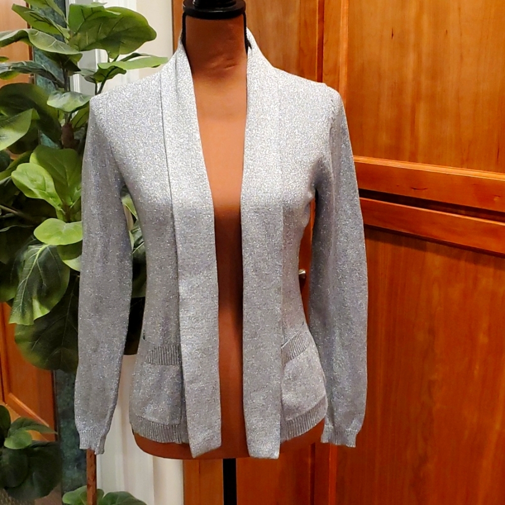 BR silver sparkling sweater